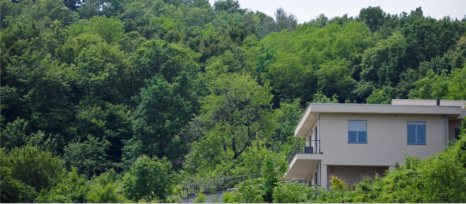 Kalabarevo vrelo — 1